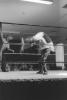 img010.jpeg.small.jpeg