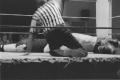 img013.jpeg.small.jpeg