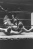 img014.jpeg.small.jpeg
