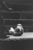 img015.jpeg.small.jpeg