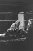 img022.jpeg.small.jpeg