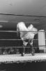 img028.jpeg.small.jpeg