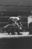 img031.jpeg.small.jpeg