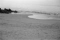 img002.jpeg.small.jpeg