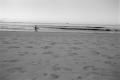 img004.jpeg.small.jpeg