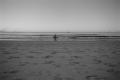 img005.jpeg.small.jpeg