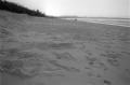 img006.jpeg.small.jpeg