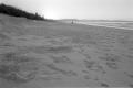 img007.jpeg.small.jpeg