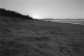img008.jpeg.small.jpeg