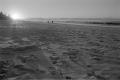 img012.jpeg.small.jpeg