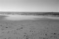 img016.jpeg.small.jpeg