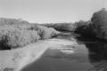 img020.jpeg.small.jpeg