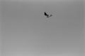 img025.jpeg.small.jpeg