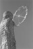 img031.jpeg.small.jpeg