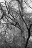 img000.jpeg.small.jpeg