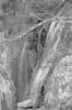 img001.jpeg.small.jpeg