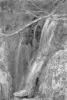 img002.jpeg.small.jpeg