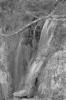 img003.jpeg.small.jpeg