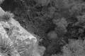 img004.jpeg.small.jpeg