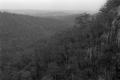 img005.jpeg.small.jpeg
