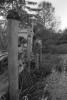 img010.jpeg.small.jpeg