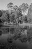 img011.jpeg.small.jpeg