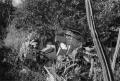 img012.jpeg.small.jpeg