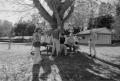img014.jpeg.small.jpeg