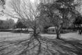 img015.jpeg.small.jpeg