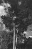 img016.jpeg.small.jpeg