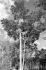 img017.jpeg.small.jpeg