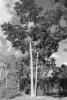 img018.jpeg.small.jpeg