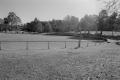 img019.jpeg.small.jpeg
