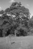 img026.jpeg.small.jpeg