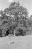 img027.jpeg.small.jpeg