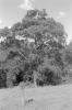 img028.jpeg.small.jpeg