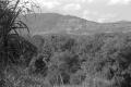 img029.jpeg.small.jpeg