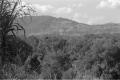 img030.jpeg.small.jpeg