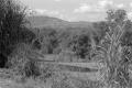 img031.jpeg.small.jpeg