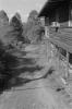img032.jpeg.small.jpeg
