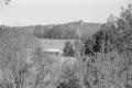 img035.jpeg.small.jpeg