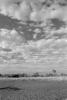 img022.jpeg.small.jpeg