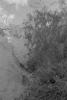 img001.jpeg.small.jpeg