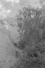 img002.jpeg.small.jpeg