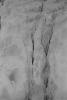 img003.jpeg.small.jpeg