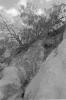 img004.jpeg.small.jpeg