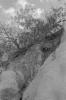 img005.jpeg.small.jpeg