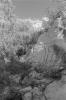 img006.jpeg.small.jpeg
