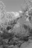 img007.jpeg.small.jpeg