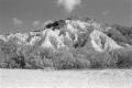 img010.jpeg.small.jpeg